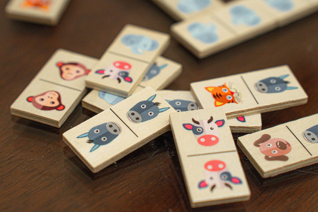 Children's Wooden Domino Set