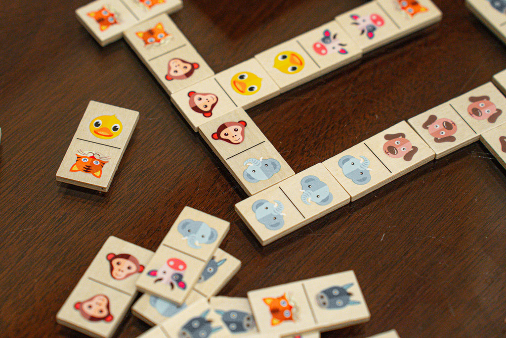 Children's Wooden Domino Set